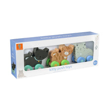Load image into Gallery viewer, New Kitty Push Toys - Set Of 3