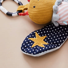 Load image into Gallery viewer, Dragonfly Activity Toy