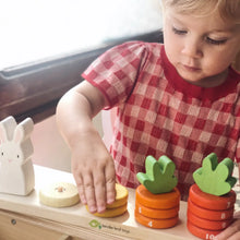 Load image into Gallery viewer, Tender Leaf Toys Counting Carrots