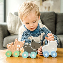 Load image into Gallery viewer, New Kitty Push Toys - Set Of 3