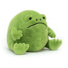 Load image into Gallery viewer, Ricky Rain Frog - Medium