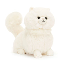Load image into Gallery viewer, Carissa Persian Cat
