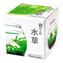 Load image into Gallery viewer, Water Garden
