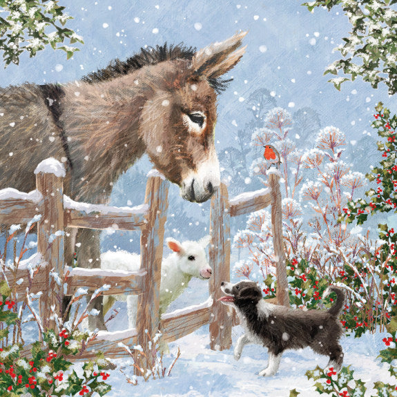 Country Companions Charity Christmas Cards - Pack Of 8