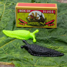 Load image into Gallery viewer, Box of Two Slimy Slugs

