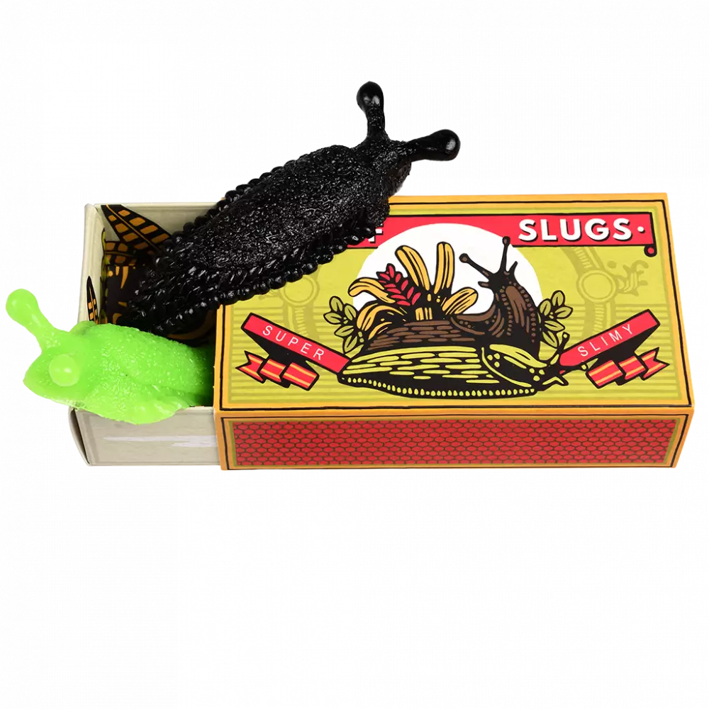 Box of Two Slimy Slugs