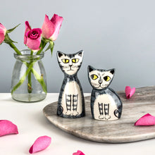 Load image into Gallery viewer, Grey Tabby Cat Salt and Pepper Shakers
