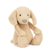 Load image into Gallery viewer, Bashful Luxe Puppy Orlando - Medium
