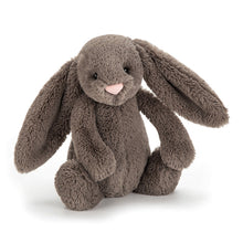 Load image into Gallery viewer, Bashful Truffle Bunny
