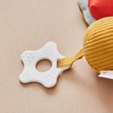 Load image into Gallery viewer, Dragonfly Activity Toy
