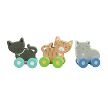 Load image into Gallery viewer, New Kitty Push Toys - Set Of 3
