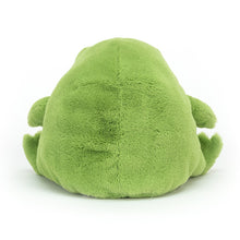 Load image into Gallery viewer, Ricky Rain Frog - Medium
